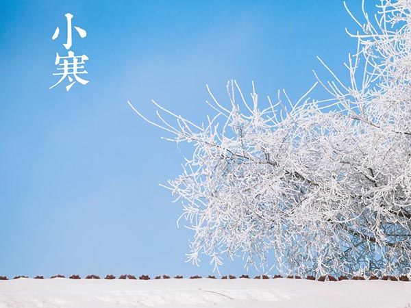 風(fēng)吹臘梅香，小寒日初長(zhǎng)